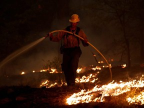 A firefighter uses a hose to control backfires that were lit to slow the spread of the Dixie Fire, a wildfire near the town of Greenville, Calif., Friday, Aug. 6, 2021.
