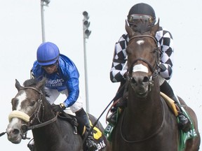 Jockey Patrick Husbands guides Harlequin Ranches First Empire to victory in the $125,000 Soaring Free Stakes at Woodbine Racetrack yesterday.  Michael Burns Photo