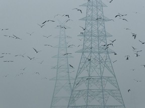 Birds fly next to power transmission towers on a smoggy afternoon in the old quarters of Delhi, India, Oct. 30, 2019.