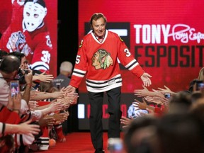 In this July 15, 2016, file photo, Blackhawks great Tony Esposito is introduced to the fans during the Blackhawks' convention in Chicago.