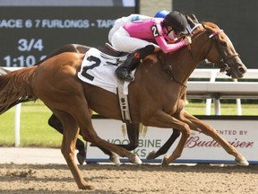 Woodbine racetrack’s stakes weekend starts tomorrow with the Queen’s Plate going on Sunday. Michael Burns