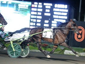 North America Cup Elimination winners Bulldog Hanover will square off for the big prize at Woodbine Mohawk Park on Saturday. Michael Burns photo