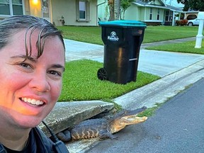 An officer from the Palm Bay Police Department takes a selfie with a stuck gator in a storm drain.