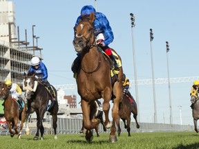 Albahr got off to subpar start but ended up winning in the $400,000 Summer Stakes at Woodbine on Sunday.