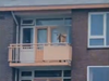 Screenshot of shirtless man on apartment balcony armed with crossbow.