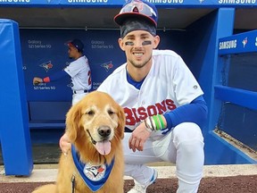 Rookie the Bat Dog has apologized for running onto the field during a Buffalo Bisons game.