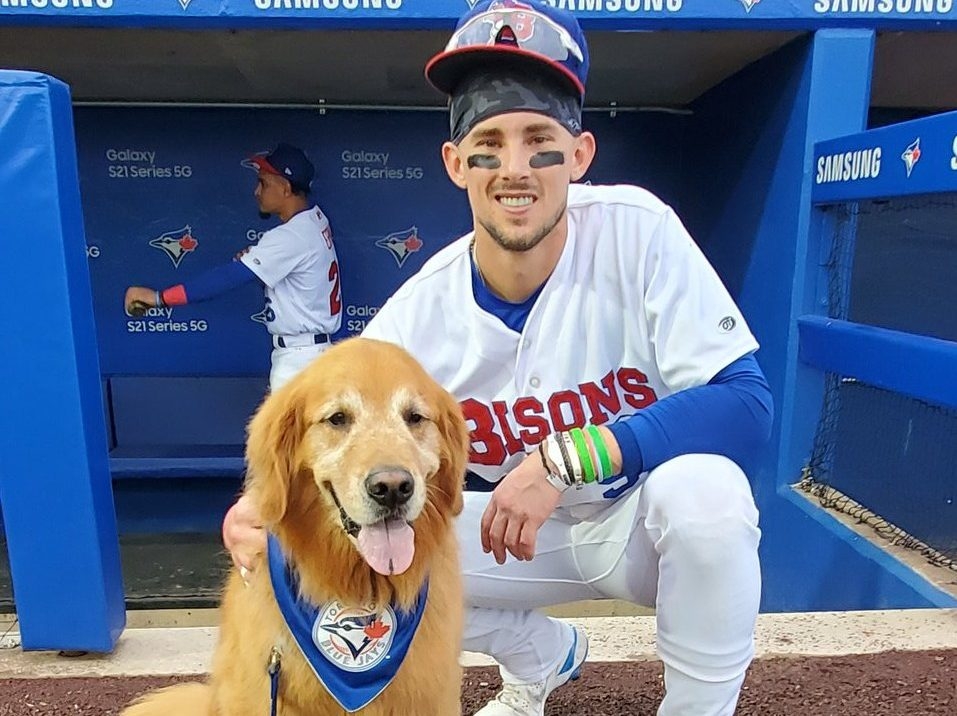 Toronto Blue Jay Dog 