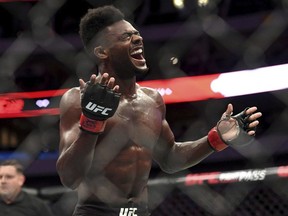 Aljamain Sterling celebrates after defeating Cody Stamann in their bantamweight mixed martial arts bout at UFC 228 on Saturday, Sept. 8, 2018, in Dallas.