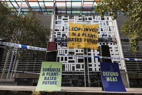 Odds and Ends: Pabst Unveils World's Biggest Case of Beer - 1,844 Beer Pack and Other Quirky Deals 3 Environmental activists climb the Home Office on October 26, 2021 in London, England. Protesters dropped a banner from the building reading