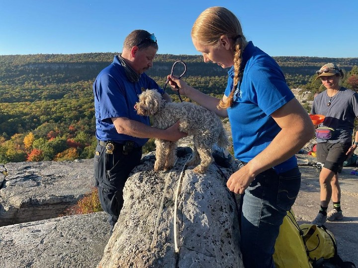  Dog rescued from 40-foot rocky crevice. (Parks, Recreation and Historic Preservation/Facebook)