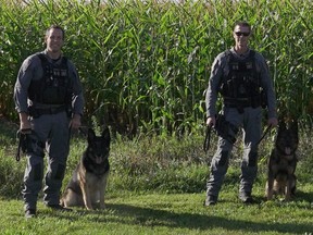 Peel Regional Police K9s Griffin and Nitro.