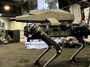 Robot dog equipped with sniper-type rifle on its back.