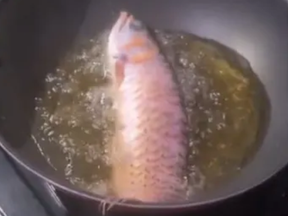 A TikToker taught her husband a lesson by frying up his expensive lucky fish.