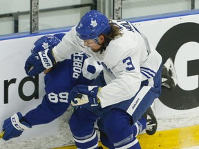 Toronto Maple Leafs defender Justin Holl won't be playing against the Red Wings on Saturday night.