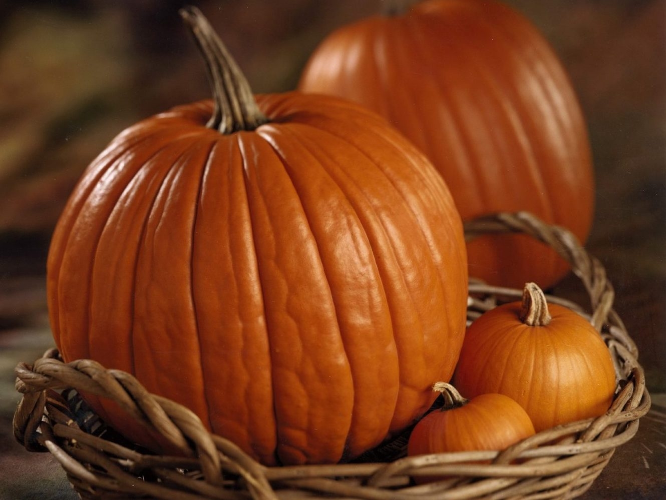 Be prepared for pumpkin season Toronto Sun