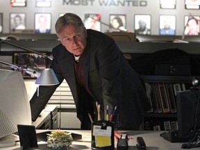 "The Searchers" -- After investigating the murder of a retired Master Sergeant, the NCIS team uncovers a fraudulent charity that preys on those searching for missing military personnel, on NCIS, Tuesday, Nov. 11 (8:00-9:00, ET/PT), on the CBS Television Network. Pictured: Mark Harmon