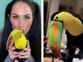 Los Angeles resident Janelle Tsao has a pet toucan called Touki, and the bird controls her entire life.