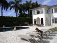 German Shepherd Gunther VI sits by the pool at a house formally owned by pop star Madonna, Monday, Nov. 15, 2021, in Miami.