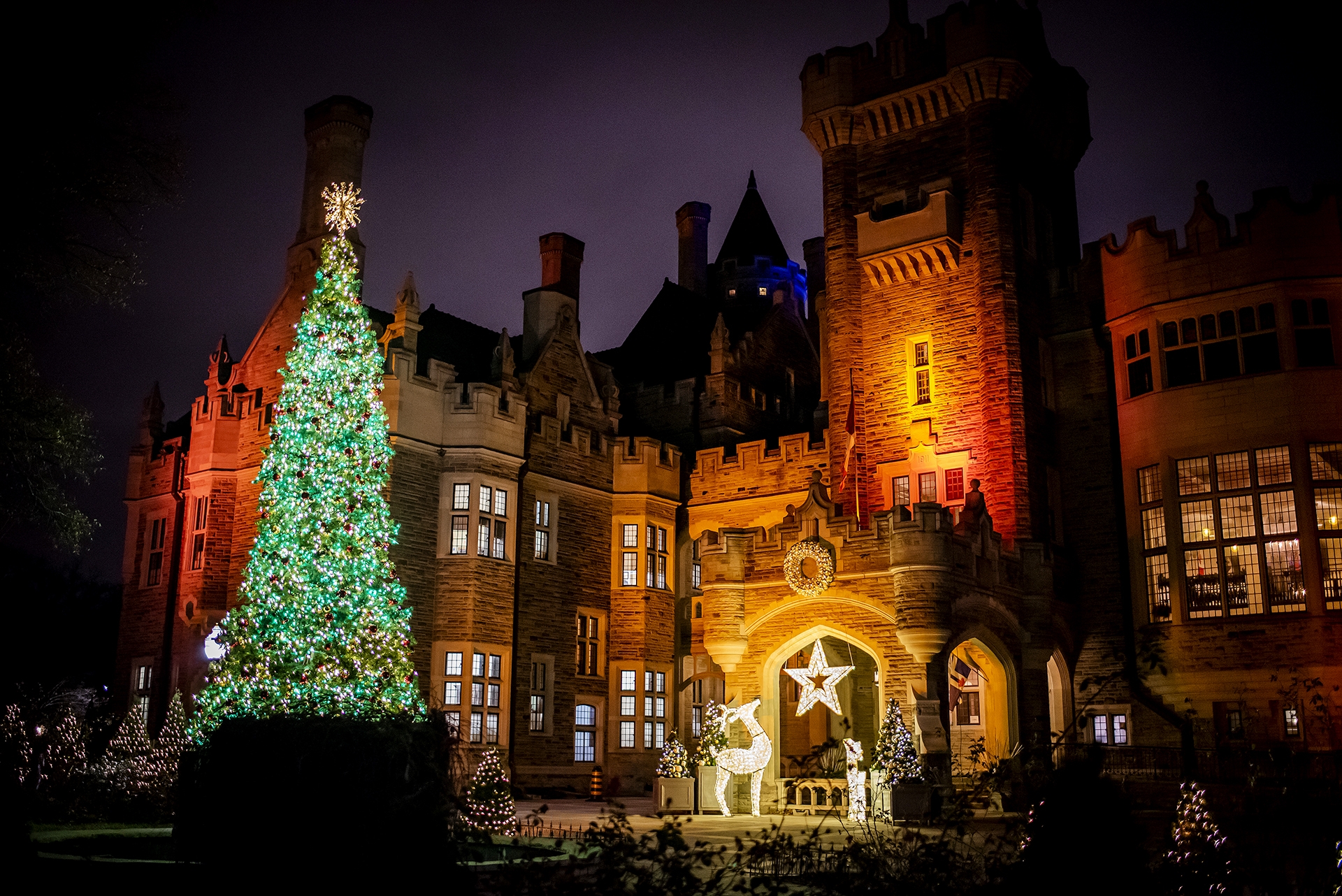 There's a magical trail covered in holiday lights near Toronto