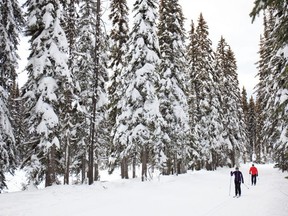 Sovereign Lake Nordic Centre near Vernon, B.C. is 1,670 metres above sea level, a good match for Beijing and a tad higher than the team’s usual home base at the Canmore Nordic Centre in Alberta, which is at 1,400 metres. Andrew Penner photo