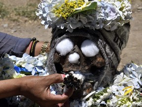 A woman puts cigarettes in the mouth of a natita (human skull) at the general cemetery in La Paz on Monday, Nov. 8, 2021, as Bolivia celebrates the annual Natitas Festival.