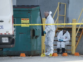 Peel Regional Police search the back of a plaza located southeast of the corner of Bovaird Dr. E. and Main St. In Brampton after a man was discovered dead on Saturday, November 13, 2021.