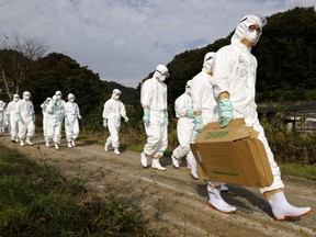 Officials in protective suits head to a poultry farm for a suspected bird flu case in Higashikagawa, Japan, in this photo taken by Kyodo on Nov. 8, 2020.