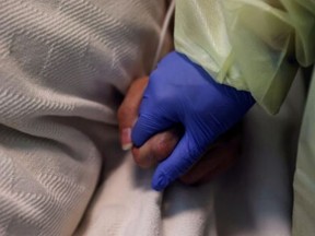 A woman in personal protective equipment gear holds the hand of a COVID patient at Madison Memorial Hospital in Rexburg, Idaho, on Oct. 28, 2021.