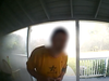 Man with blurred-out face seen on doorbell camera saves pets from house on fire