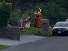 A bear dukes it out with an inflatable reindeer lawn ornament.