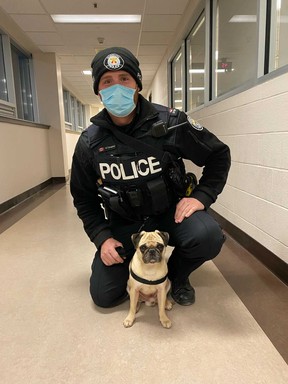 Toronto Police Const. Matt Campbell, of 23 Division, is seen here with Bugsy on Thursday, Dec. 23, 2021, six days after the four-year-old pug was snatched from the backyard of his family's Etobicoke home.