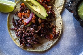 Grasshopper tacos at Xola Restaurant at 2222 Queen Street E. in Toronto, Ont. on Saturday, Dec. 4, 2021. ERNEST DOROSZUK/TORONTO SUN
