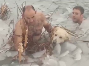 Spanish police rescue a dog from a frozen reservoir in the municipality of Canfranc in Spain, in this still image taken from a handout video obtained by Reuters on Dec. 8, 2021.