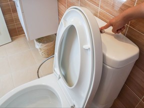 Closeup of woman flushing the toilet with the toilet seat up.