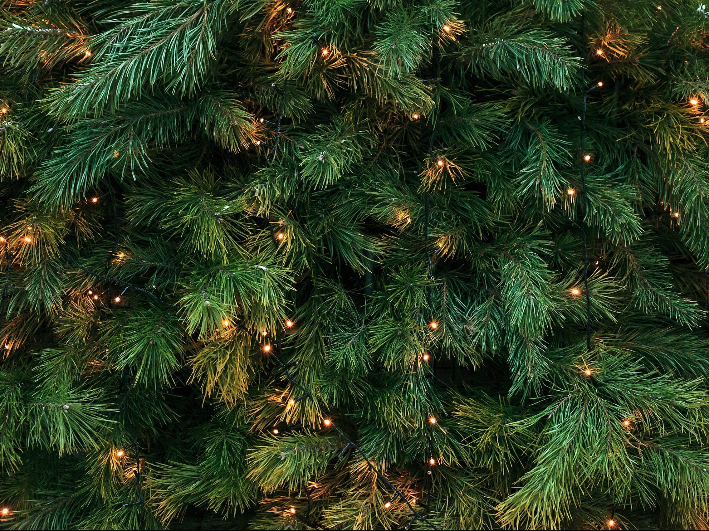 ODDS AND ENDS Halflit Christmas tree and other offbeat offerings