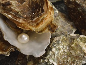 One lucky woman in New Orleans has found 12 tiny pearls in an oyster.