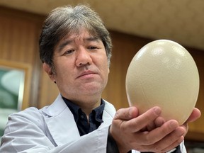 Kyoto Prefectural University President and Doctor of Veterinary Medicine Yasuhiro Tsukamoto holds an ostrich egg in Kyoto, Japan in this handout photo taken in August 2021 and released by Kyoto Prefectural University.