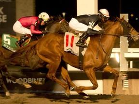 Jockey Patrick Husbands guides Sir Winston to victory in the Valedictory Stakes at Woodbine. Michael Burns Photo