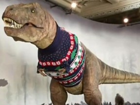 A Tyrannosaurus Rex statue at the Natural History Museum in London was outfitted with a holiday sweater recently.