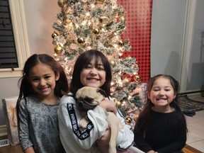 (L to R) Three sisters -- Sophia Butt, 6, Maiah Butt, 11,and Naomi Butt, 4 -- were reunited with their pet Bugsy on Thursday, Dec. 23, 2021, six days after the four-year-old pug was snatched from the backyard of their family's Etobicoke home.