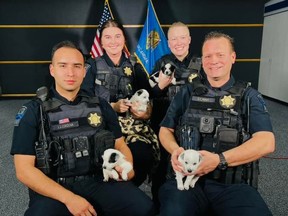 (clockwise from left) Tulsa Police Department officers have adopted four of five puppies found abandoned inside a zipped duffel bag placed on the counter of a QuickTrip gas station on Christmas Day. A gas station employee adopted the fifth pup.