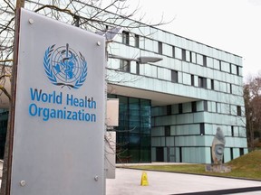 Pandemic Linked To Childhood Liver Disease Found In British Study The Logo Is Pictured Outside The World Health Organization (Who) Building During An Executive Board Meeting For An Update On The Coronavirus Outbreak In Geneva, Switzerland On February 6, 2020.