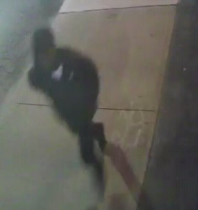 An image released by Toronto Police of suspect No. 4 in the Sept. 19, 2021 carjacking of a cab driver in the Jane St. and Weston Rd. area.