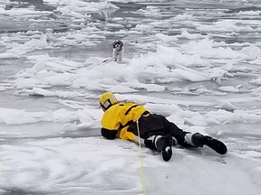 Firefighters rescue a stranded Shih Tzu from the Seneca River on January 13, 2022 in Plainville, NY.