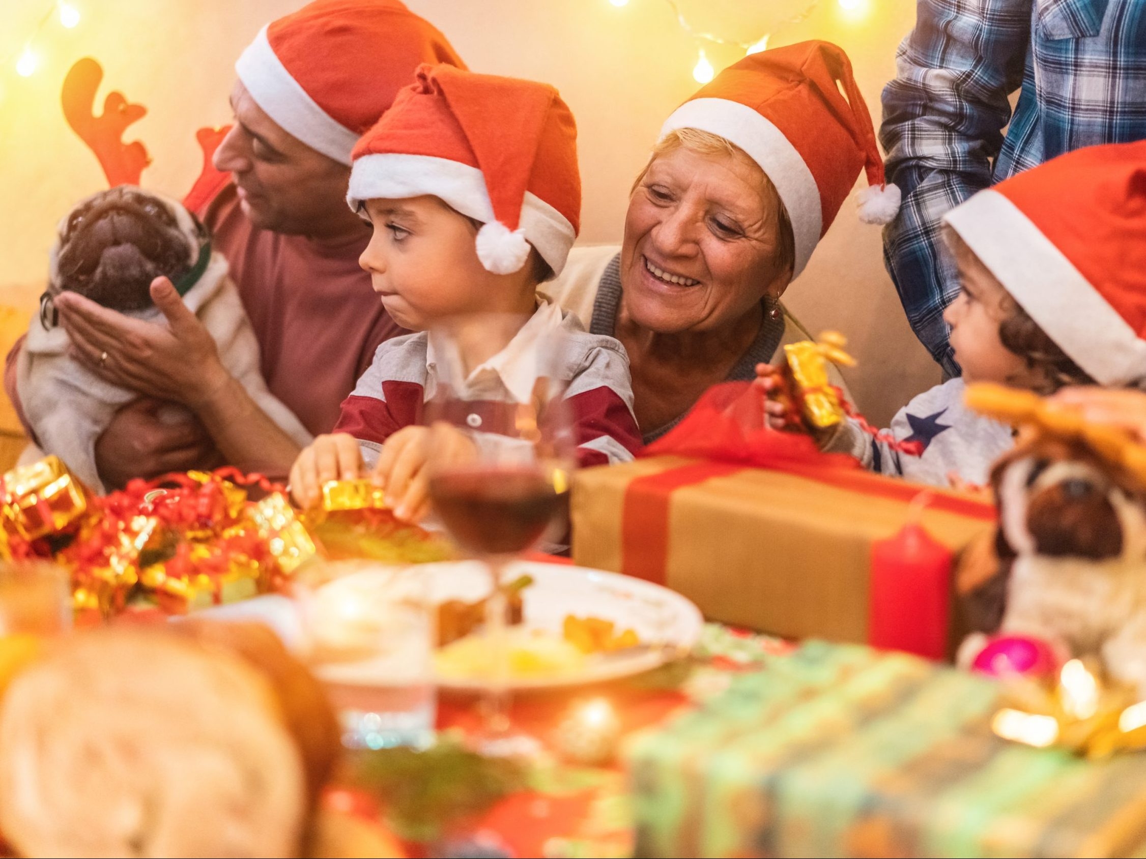 ASK AMY Dog lovers bring fur babies to Christmas dinner Toronto Sun