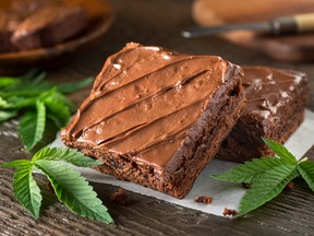 Several seniors from South Dakota needed medical attention recently when they accidentally consumed weed brownies.