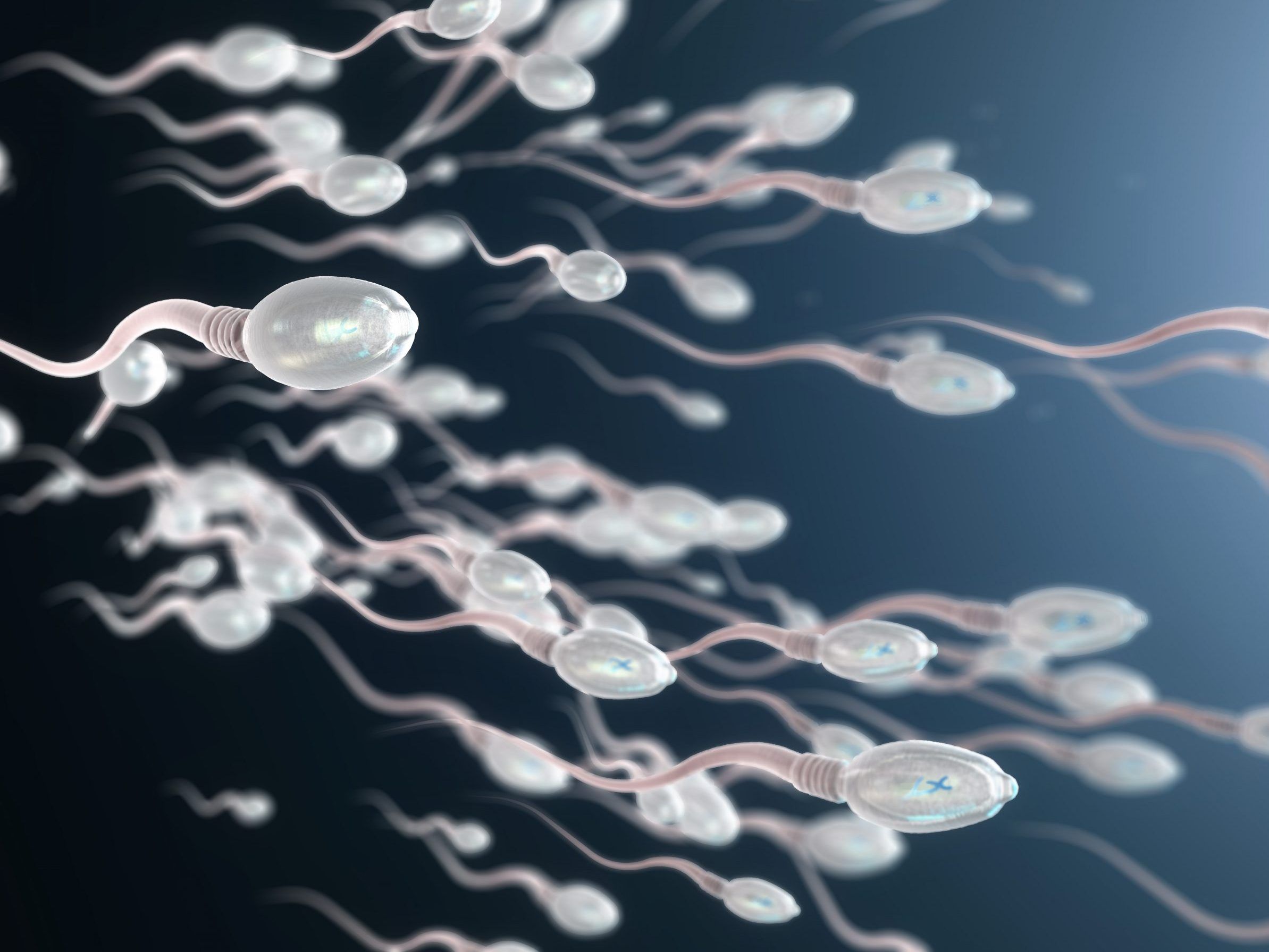 For Free Prolific Sperm Donor Gives His Seed Away On Facebook