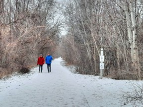 Make 2022 the year to create more walking trails.
