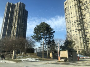 Palace Pier condo complex off of Humber Bay Shores and Lake Shore Blvd. West is where the fifth homicide of the year has occurred inside a condo according to Toronto Police.