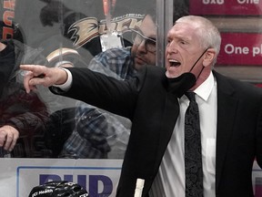 Anaheim Ducks interim head coach Mike Stothers yells to his team during a game on Jan. 21. Stothers was Maple Leafs defenceman Morgan Rielly’s junior coach in Moose Jaw.